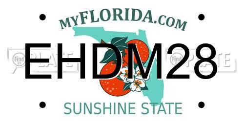 EHDM28 Florida License Plate