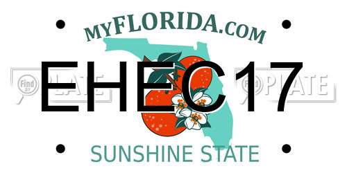 EHEC17 Florida License Plate