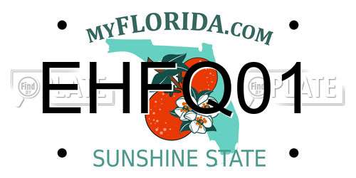EHFQ01 Florida License Plate