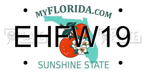 EHFW19 Florida License Plate