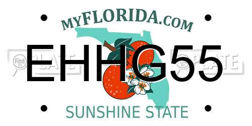 EHHG55 Florida License Plate