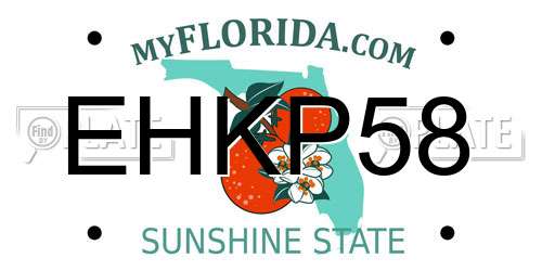 EHKP58 Florida License Plate