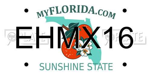 EHMX16 Florida License Plate