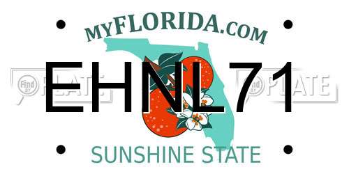 EHNL71 Florida License Plate
