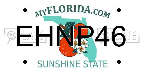 EHNP46 Florida License Plate