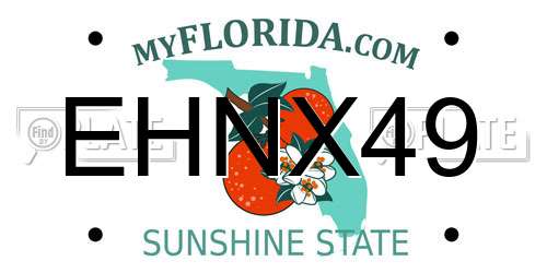 EHNX49 Florida License Plate