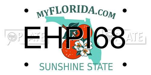 EHPI68 Florida License Plate