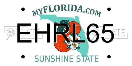 EHRL65 Florida License Plate