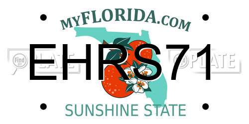 EHRS71 Florida License Plate