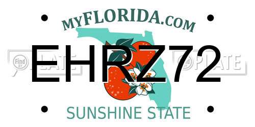 EHRZ72 Florida License Plate