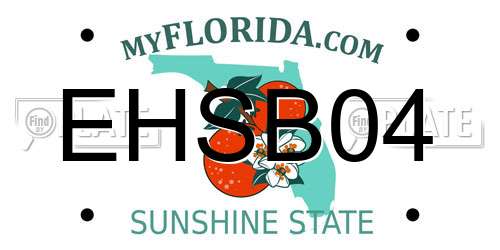 EHSB04 Florida License Plate