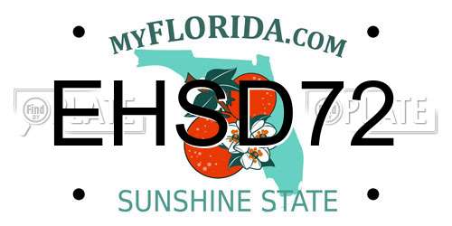 EHSD72 Florida License Plate