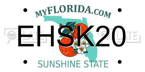 EHSK20 Florida License Plate