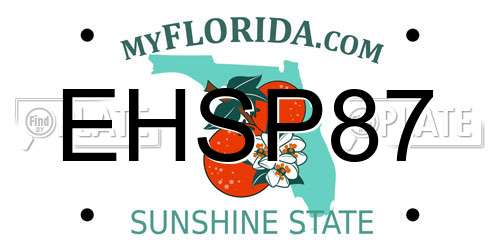 EHSP87 Florida License Plate