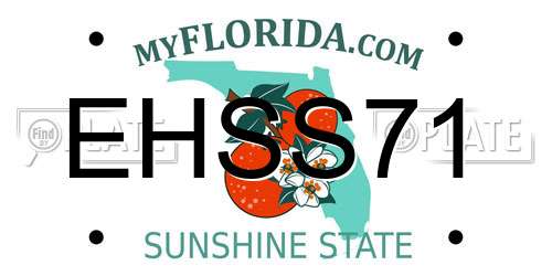 EHSS71 Florida License Plate