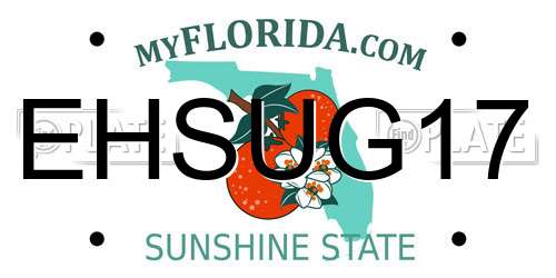 EHSUG17 Florida License Plate