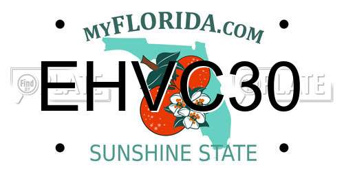 EHVC30 Florida License Plate