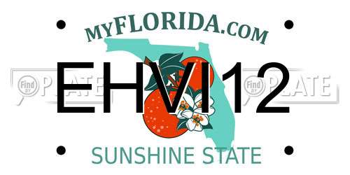 EHVI12 Florida License Plate