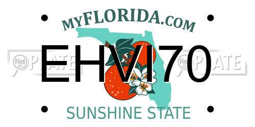 EHVI70 Florida License Plate