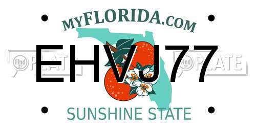 EHVJ77 Florida License Plate