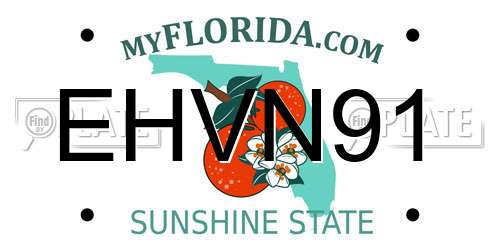 EHVN91 Florida License Plate
