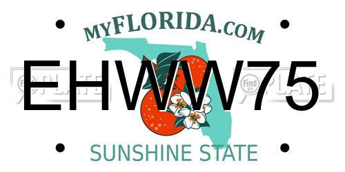 EHWW75 Florida License Plate
