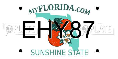 EHY87 Florida License Plate