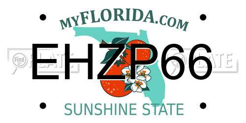EHZP66 Florida License Plate