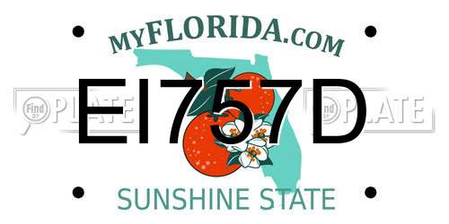 EI757D Florida License Plate