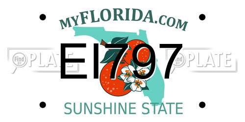 EI797 Florida License Plate