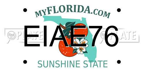 EIAE76 Florida License Plate