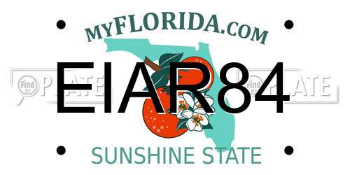 EIAR84 Florida License Plate