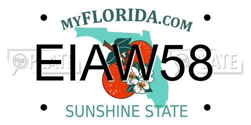 EIAW58 Florida License Plate