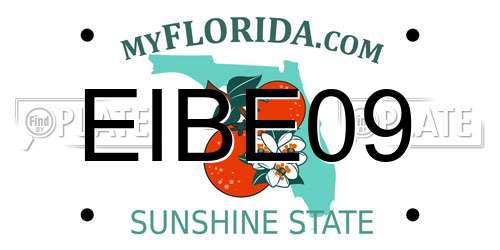 EIBE09 Florida License Plate