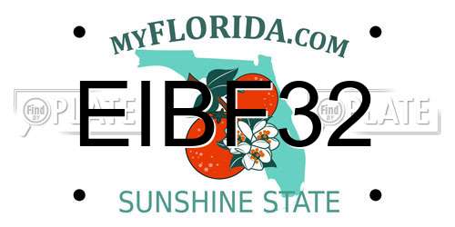 EIBF32 Florida License Plate