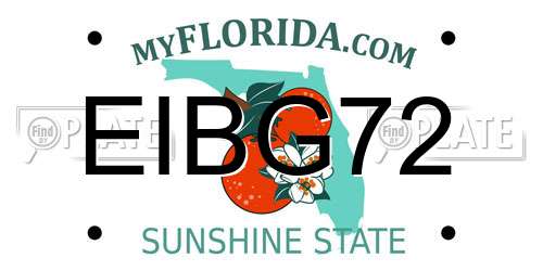 EIBG72 Florida License Plate