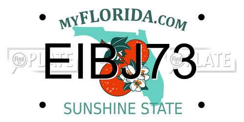 EIBJ73 Florida License Plate