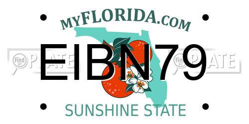 EIBN79 Florida License Plate