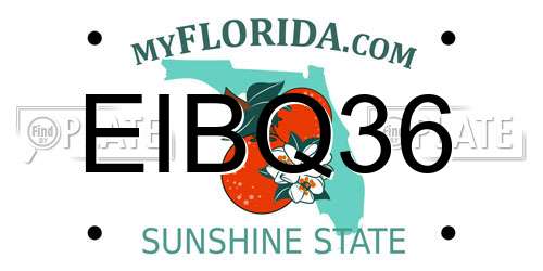 EIBQ36 Florida License Plate