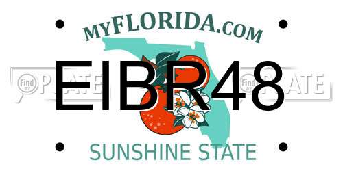 EIBR48 Florida License Plate