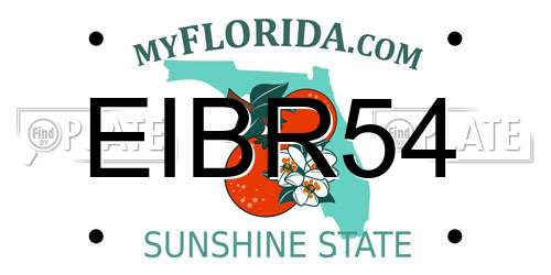 EIBR54 Florida License Plate