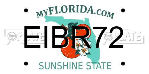 EIBR72 Florida License Plate