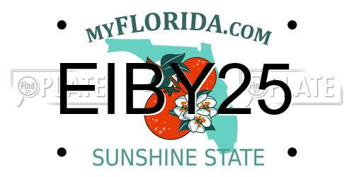EIBY25 Florida License Plate