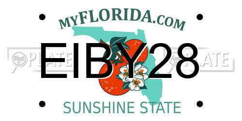 EIBY28 Florida License Plate