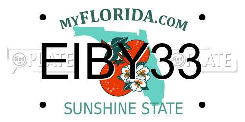 EIBY33 Florida License Plate