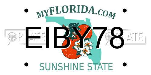 EIBY78 Florida License Plate
