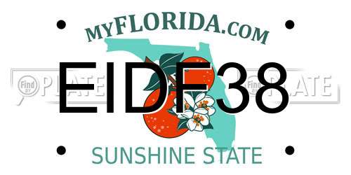 EIDF38 Florida License Plate