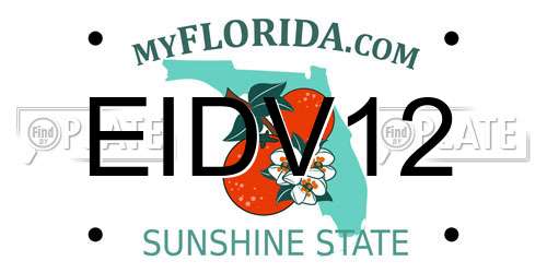 EIDV12 Florida License Plate