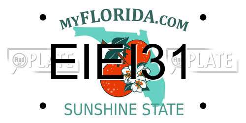 EIEI31 Florida License Plate