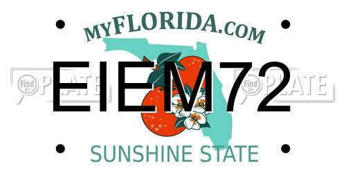 EIEM72 Florida License Plate